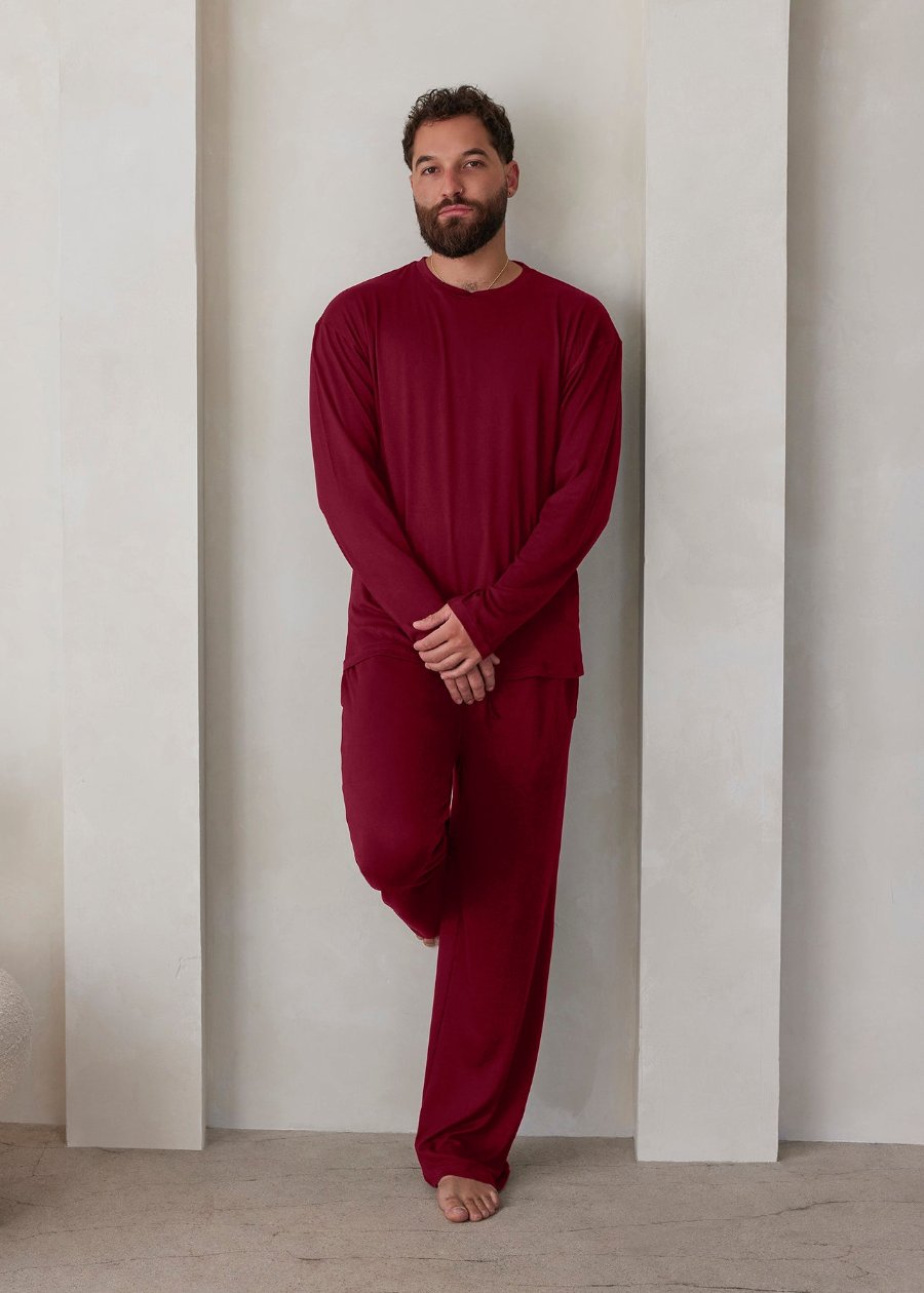 the cloud mens longsleeve tee in burgundy